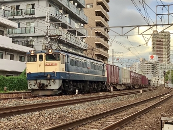JR貨物 国鉄EF65形電気機関車 EF65-2067 鉄道フォト・写真 by てばどめさん 須磨寺駅：2022年09月01日17時ごろ