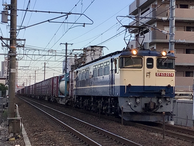 JR貨物 国鉄EF65形電気機関車 EF65-2074 鉄道フォト・写真 by てばどめさん 西明石駅：2021年08月28日17時ごろ