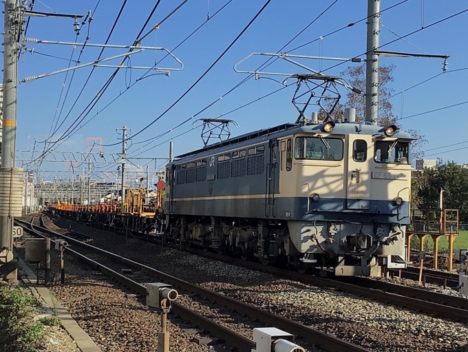 JR西日本 国鉄EF65形電気機関車 EF65-1128 鉄道フォト・写真 by てばどめさん 西明石駅：2022年09月11日16時ごろ