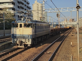 JR西日本 国鉄EF65形電気機関車 EF65-1128 鉄道フォト・写真 by てばどめさん 須磨海浜公園駅：2022年10月02日16時ごろ