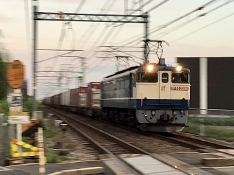 JR貨物 国鉄EF65形電気機関車 EF65-2096 鉄道フォト・写真 by てばどめさん 西明石駅：2022年10月04日05時ごろ