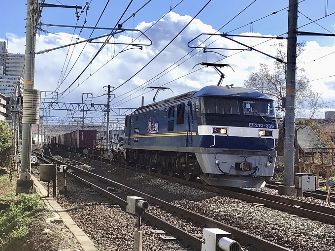 JR貨物 EF210形 EF210-339 鉄道フォト・写真 by てばどめさん 西明石駅：2022年12月18日12時ごろ