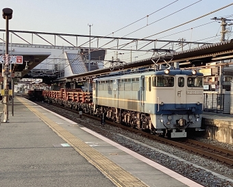 JR西日本 国鉄EF65形電気機関車 EF65-1128 鉄道フォト・写真 by てばどめさん 土山駅：2023年03月11日17時ごろ