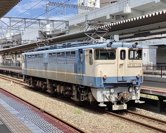 JR西日本 国鉄EF65形電気機関車 EF65-1128 鉄道フォト・写真 by てばどめさん 岡山駅：2023年08月18日13時ごろ