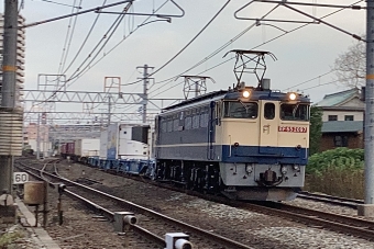 JR貨物 国鉄EF65形電気機関車 EF65 2097 鉄道フォト・写真 by てばどめさん 西明石駅：2023年09月11日17時ごろ