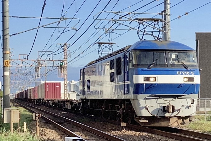 JR貨物 EF210形 EF210-3 鉄道フォト・写真 by てばどめさん 西明石駅：2023年05月20日06時ごろ
