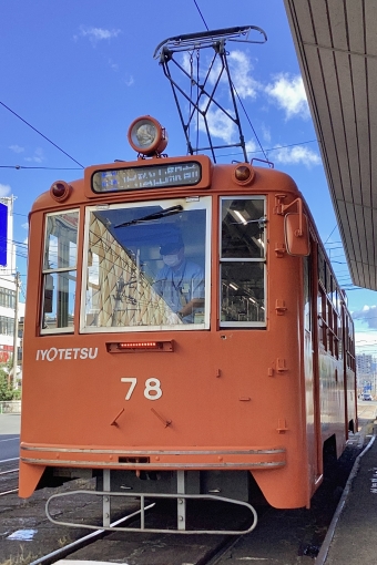 伊予鉄道モハ50形電車 78 鉄道フォト・写真 by てばどめさん 松山駅前停留場：2023年08月29日16時ごろ