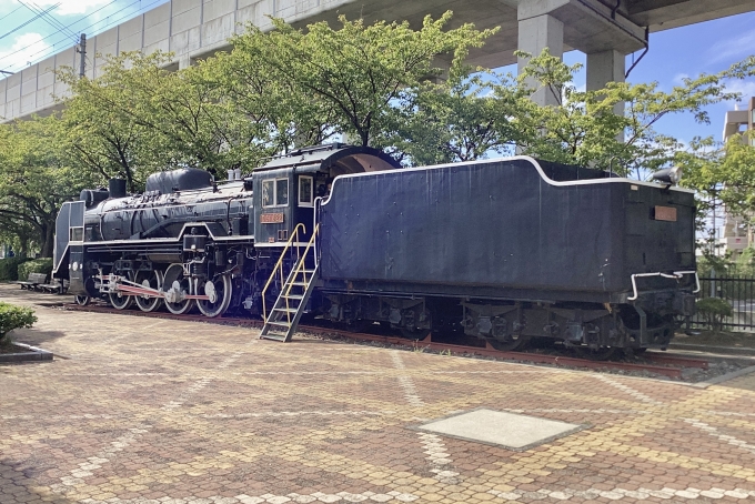 鉄道フォト・写真：国鉄D51形蒸気機関車 D51 822 松任駅 鉄道フォト・写真 by てばどめさん - 撮影日 2023/09/09 14:28