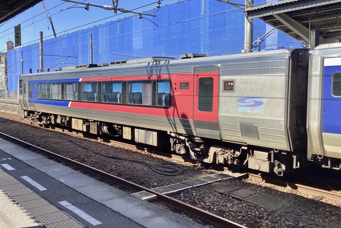 鉄道フォト・写真：JR四国2000系気動車 2459 松山駅 (愛媛県) 鉄道フォト・写真 by てばどめさん - 撮影日 2023/08/28 09:11