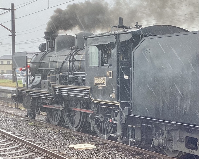 鉄道フォト・写真：JR九州 国鉄8620形蒸気機関車 SL人吉 58654 有佐駅 鉄道フォト・写真 by てばどめさん - 撮影日 2024/03/24 10:31