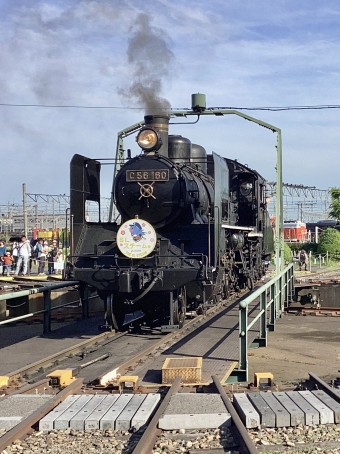 JR西日本 C56形 C56 160 鉄道フォト・写真 by てばどめさん 梅小路京都西駅：2024年05月18日16時ごろ