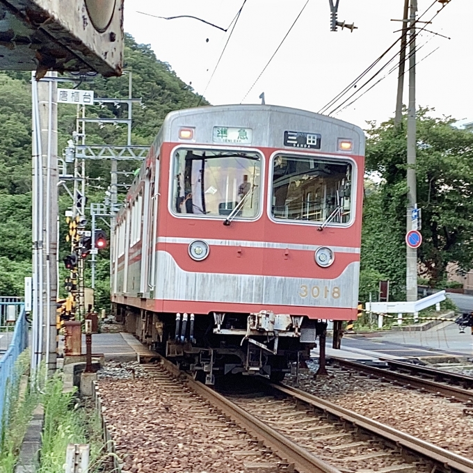 鉄道フォト・写真：神戸電鉄 神戸電気鉄道3000系電車 3018 唐櫃台駅 鉄道フォト・写真 by てばどめさん - 撮影日 2023/08/06 17:15