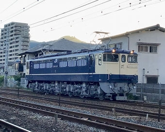 JR西日本 国鉄EF65形電気機関車 EF65 1135 鉄道フォト・写真 by てばどめさん 須磨寺駅：2022年06月30日18時ごろ