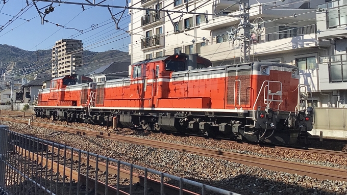 鉄道フォト・写真：JR西日本 国鉄DD51形ディーゼル機関車 DD51 1109 須磨寺駅 鉄道フォト・写真 by てばどめさん - 撮影日 2022/12/30 12:07