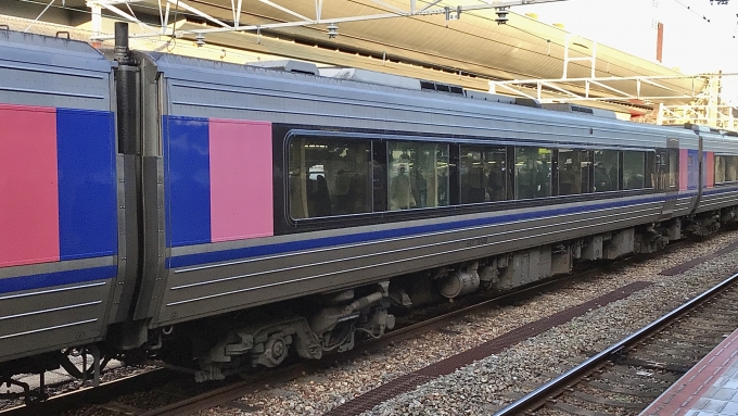 鉄道フォト・写真：智頭急行HOT7000形気動車 HOT7046 京都駅 (JR) 鉄道フォト・写真 by てばどめさん - 撮影日 2023/01/02 16:19