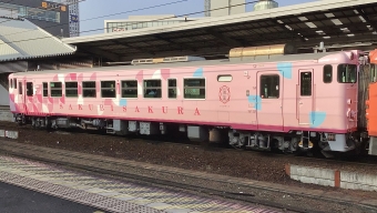 JR西日本 キハ40形 キハ40 2049 鉄道フォト・写真 by てばどめさん 岡山駅：2023年01月09日09時ごろ