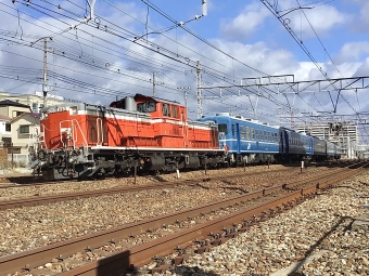 JR西日本 国鉄DD51形ディーゼル機関車 DD51 1183 鉄道フォト・写真 by てばどめさん 須磨海浜公園駅：2023年01月10日12時ごろ