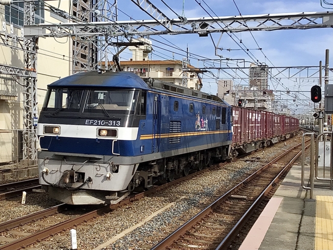 JR貨物 EF210形 EF210-313 鉄道フォト・写真 by てばどめさん 須磨駅：2023年02月12日13時ごろ
