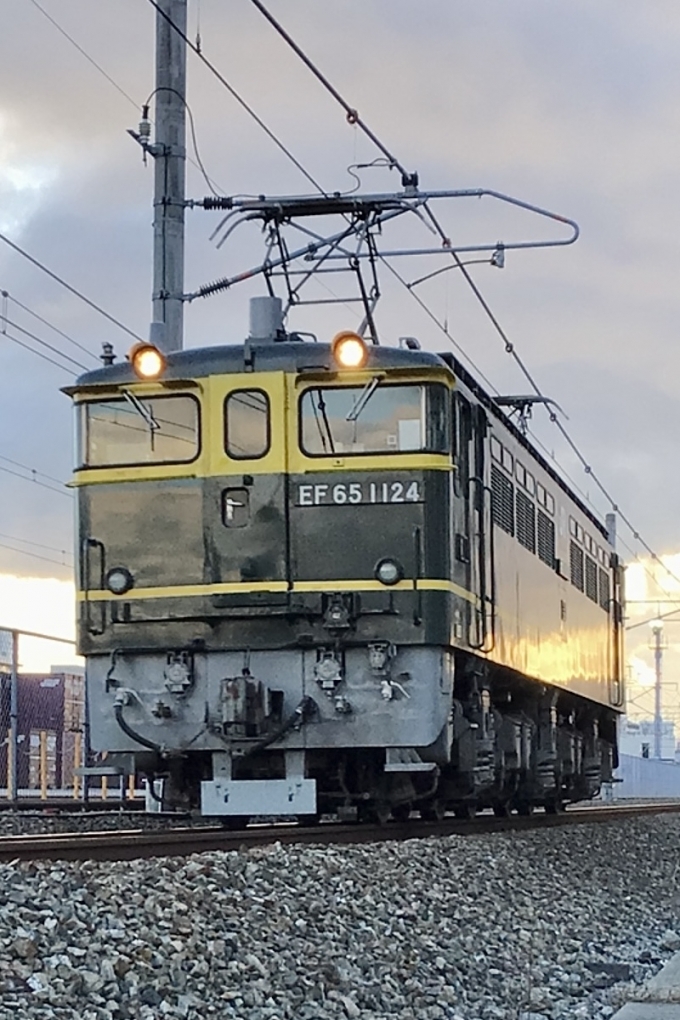 JR西日本 国鉄EF65形電気機関車 EF65 1124 鉄道フォト・写真 by てばどめさん 鷹取駅：2023年02月15日17時ごろ