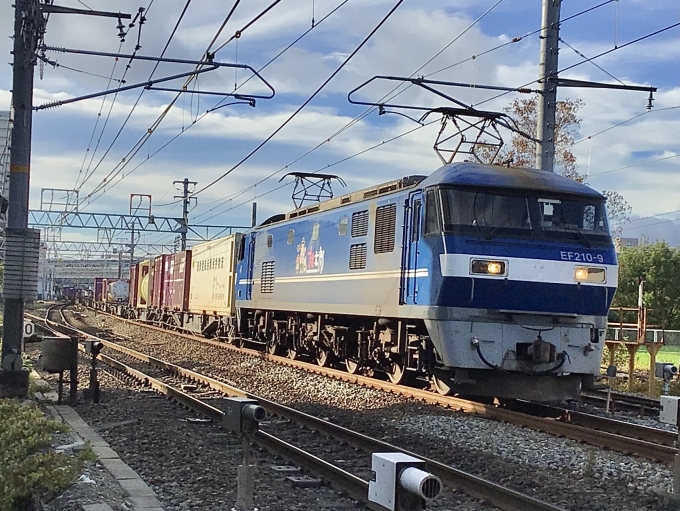 JR貨物 EF210形 EF210-9 鉄道フォト・写真 by てばどめさん 西明石駅：2022年08月11日07時ごろ