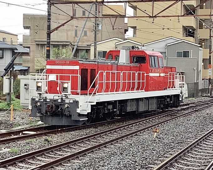 鉄道フォト・写真：JR貨物DD200形ディーゼル機関車 DD200-19 徳庵駅 鉄道フォト・写真 by てばどめさん - 撮影日 2023/04/07 12:55