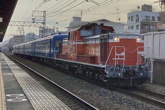 JR西日本 国鉄DD51形ディーゼル機関車 DD51 1191 鉄道フォト・写真 by てばどめさん 甲南山手駅：2023年05月26日17時ごろ