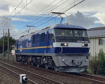 JR貨物 EF210形 EF210-355 鉄道フォト・写真 by てばどめ@プロフをお読み下さいさん 西明石駅：2023年08月24日15時ごろ