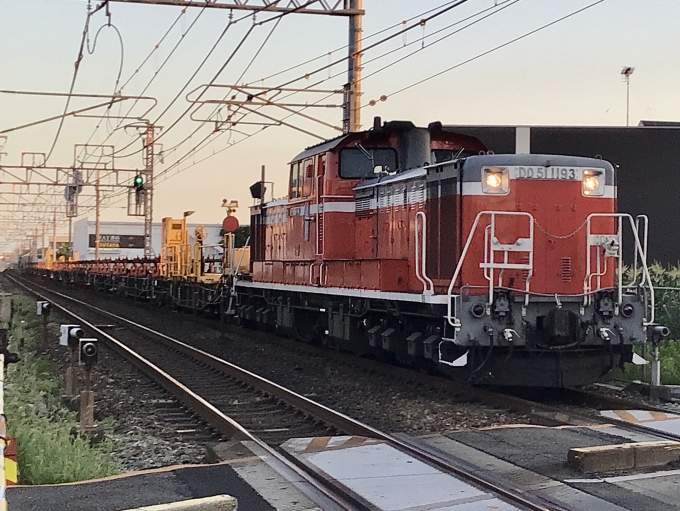 鉄道フォト・写真：JR西日本 国鉄DD51形ディーゼル機関車 DD51 1193 西明石駅 鉄道フォト・写真 by てばどめ@プロフをお読み下さいさん - 撮影日 2022/06/30 05:13