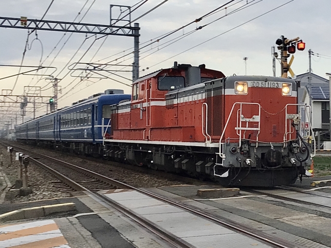 鉄道フォト・写真：JR西日本 国鉄DD51形ディーゼル機関車 DD51 1193 西明石駅 鉄道フォト・写真 by てばどめ@プロフをお読み下さいさん - 撮影日 2023/02/17 17:05