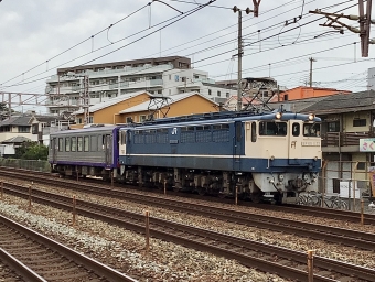 JR西日本 国鉄EF65形電気機関車 EF65 1132 鉄道フォト・写真 by てばどめ@プロフをお読み下さいさん 大蔵谷駅：2022年09月18日16時ごろ