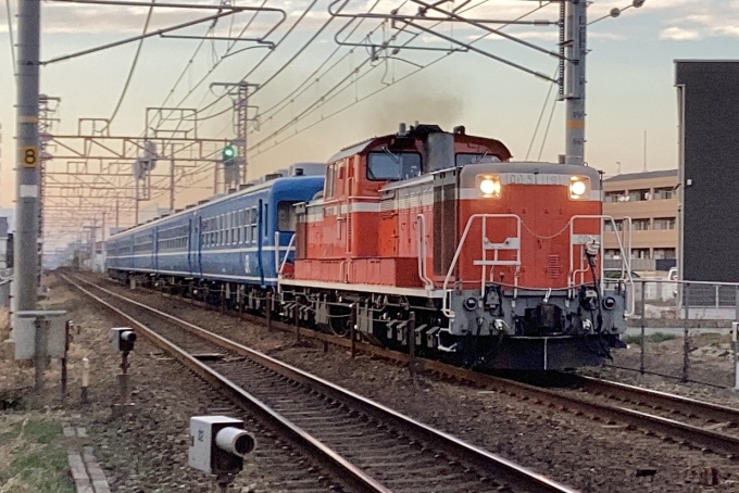 鉄道フォト・写真：JR西日本 国鉄DD51形ディーゼル機関車 DD51 1191 西明石駅 鉄道フォト・写真 by てばどめ@プロフをお読み下さいさん - 撮影日 2024/01/30 17:08