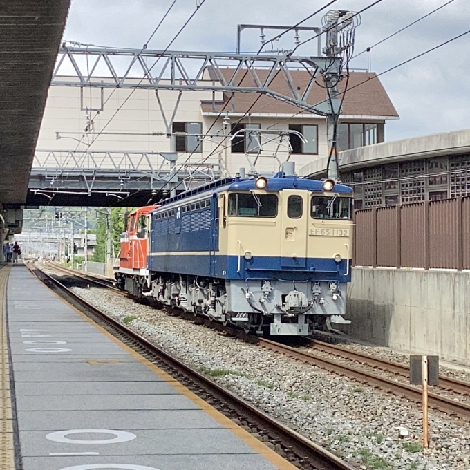 鉄道フォト・写真：JR西日本 国鉄EF65形電気機関車 EF65 1132 島本駅 鉄道フォト・写真 by てばどめさん - 撮影日 2023/05/20 14:27