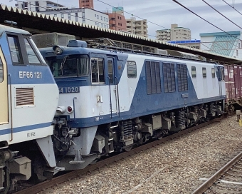 JR貨物 国鉄EF64形電気機関車 EF64 1020 鉄道フォト・写真 by てばどめさん 西明石駅：2024年02月22日13時ごろ