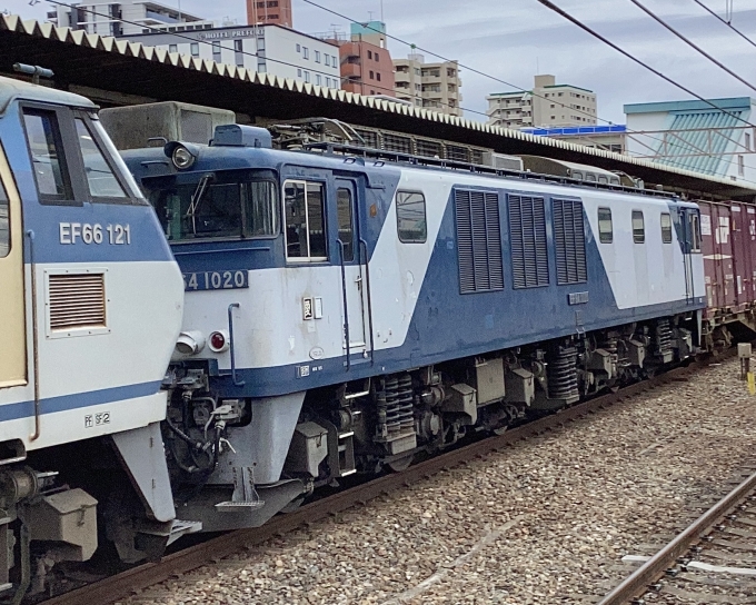 鉄道フォト・写真：JR貨物 国鉄EF64形電気機関車 EF64 1020 西明石駅 鉄道フォト・写真 by てばどめさん - 撮影日 2024/02/22 13:21