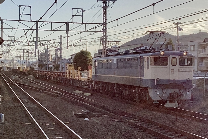 鉄道フォト・写真：JR西日本 国鉄EF65形電気機関車 EF65 1128 須磨海浜公園駅 鉄道フォト・写真 by てばどめさん - 撮影日 2023/05/24 18:05