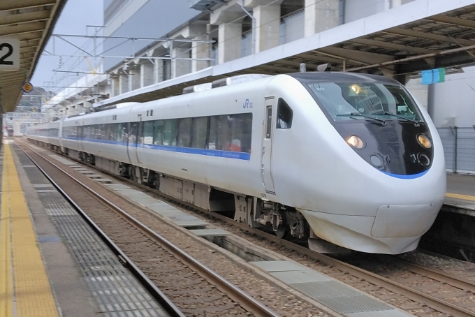 鉄道フォト・写真：JR西日本 681系電車 サンダーバード クハ681-205 芦原温泉駅 (ハピライン) 鉄道フォト・写真 by てばどめさん - 撮影日 2024/03/10 15:34