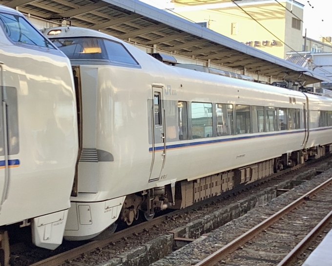 鉄道フォト・写真：JR西日本 683系電車 しらさぎ クモハ683-8501 武生駅 鉄道フォト・写真 by てばどめさん - 撮影日 2023/09/09 16:48