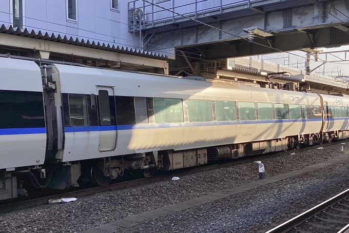 鉄道フォト・写真：JR西日本 683系電車 サンダーバード サハ682-4313 敦賀駅 (ハピライン) 鉄道フォト・写真 by てばどめさん - 撮影日 2024/03/15 16:42