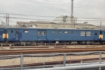 JR西日本 クモヤ145形 クモヤ145-1009 鉄道フォト・写真 by てばどめさん 西明石駅：2024年06月27日05時ごろ