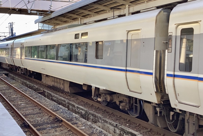 鉄道フォト・写真：JR西日本 683系電車 しらさぎ サハ683-8301 武生駅 鉄道フォト・写真 by てばどめさん - 撮影日 2023/09/09 16:48