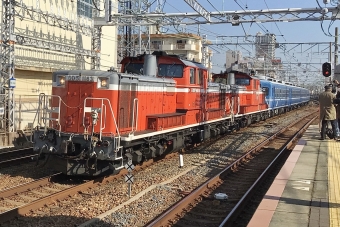 JR西日本 国鉄DD51形ディーゼル機関車 DD51 1183 鉄道フォト・写真 by てばどめさん 須磨駅：2022年12月28日12時ごろ