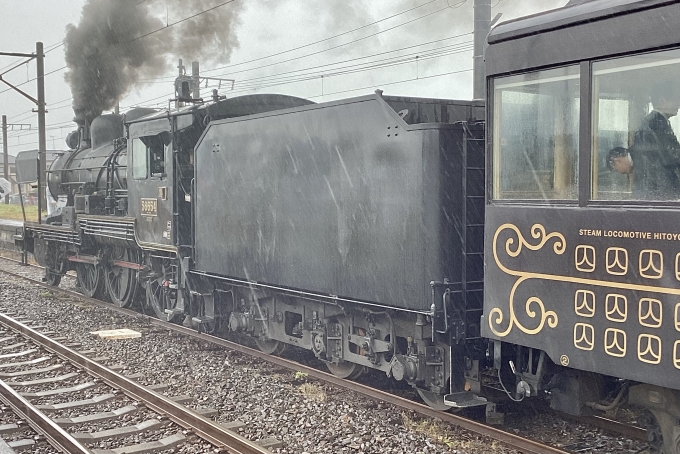 鉄道フォト・写真：JR九州 国鉄8620形蒸気機関車 SL人吉 58654 有佐駅 鉄道フォト・写真 by てばどめさん - 撮影日 2024/03/24 10:31