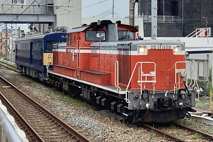 鉄道フォト・写真：JR西日本 国鉄DD51形ディーゼル機関車 DD51 1109 向日町駅 鉄道フォト・写真 by てばどめさん - 撮影日 2023/08/22 15:52