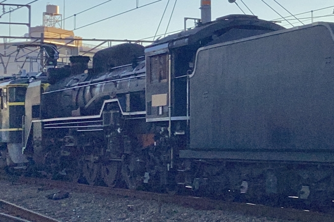 鉄道フォト・写真：JR西日本 国鉄D51形蒸気機関車 D51 200 茨木駅 鉄道フォト・写真 by てばどめさん - 撮影日 2023/10/31 06:51