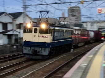 JR貨物 国鉄EF65形電気機関車 EF65-2081 鉄道フォト・写真 by てばどめさん 須磨駅：2021年02月05日17時ごろ