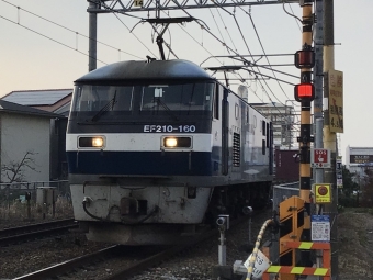 JR貨物 EF210形 EF210-160 鉄道フォト・写真 by てばどめさん 西明石駅：2021年02月07日16時ごろ