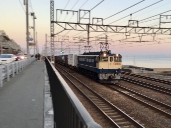 JR貨物 国鉄EF65形電気機関車 EF65-2074 鉄道フォト・写真 by てばどめさん 塩屋駅 (兵庫県)：2021年02月19日17時ごろ