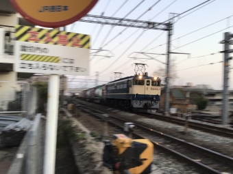 JR貨物 国鉄EF65形電気機関車 EF65-2081 鉄道フォト・写真 by てばどめさん 西明石駅：2021年02月21日17時ごろ
