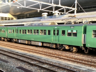 JR西日本 モハ117形 モハ117-313 鉄道フォト・写真 by てばどめさん 京都駅 (JR)：2021年03月10日06時ごろ