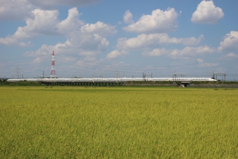 JR東海 N700S新幹線電車 鉄道フォト・写真 by hiroshiさん ：2021年08月30日12時ごろ